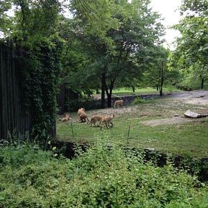 10325168_10203998364421048_2360435562661640941_n