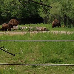 10306624_10203998373101265_5706571233875007054_n