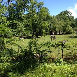 10013654_10203998354740806_4743952285103482974_n