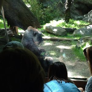 1549210_10203998361300970_9154652440098381597_n