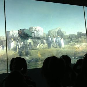 10325730_10203998349540676_639887663119793872_n