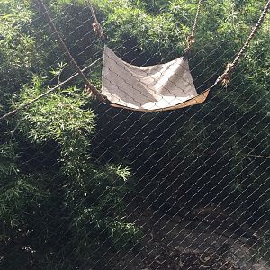 Wortham World of Primates