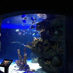 Kipp Aquarium