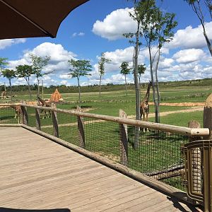 Heart of Africa- Savanna