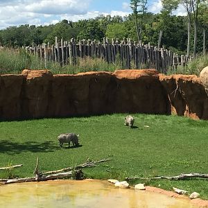 Heart of Africa- Watering Hole
