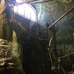 Helen Branch Primate House