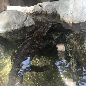 Regenstein Small Mammal-Reptile House