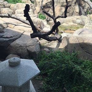 Regenstein Macaque Forest