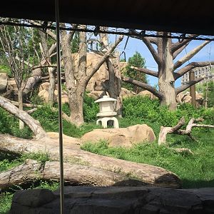 Regenstein Macaque Forest