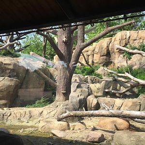 Regenstein Macaque Forest