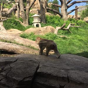 13781976_10210262282135076_1626663203862782227_n