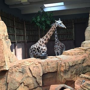 13619848_10210262271694815_1642520269915120542_n