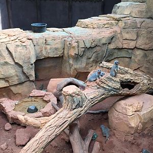 13619848_10210262271014798_337907925343418164_n