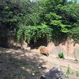 13776043_10210262268614738_7604723342958016459_n