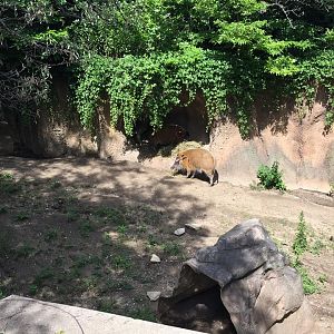 13659201_10210262268654739_7828685109419436628_n