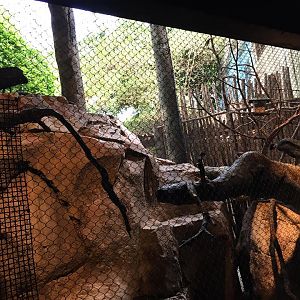 13626332_10210262270854794_5454636968760517716_n