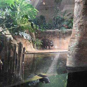 13614960_10210262270894795_6203387426084492668_n