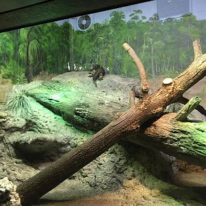 Aquatics-Reptile Center