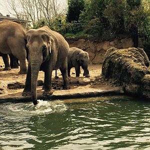 13000087_10209377264170180_5756804728518657104_n