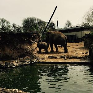 12963568_10209377264290183_9216657678416666083_n