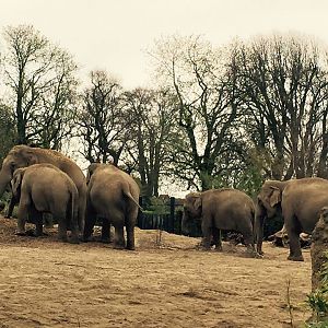 12931077_10209376732276883_3720286307370396494_n