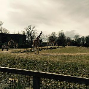 13001292_10209377265370210_7954169234731538273_n