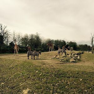 12974362_10209377265290208_5425322748809766667_n