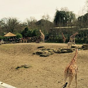 12933135_10209377265330209_286386025370001535_n