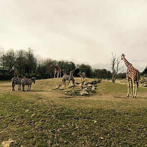 944917_10209377265410211_5690051009983434561_n