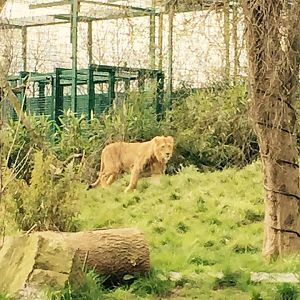 13000120_10209377287010751_1323816031304409991_n