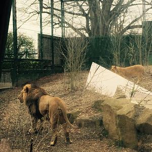 12987005_10209377287130754_341983620089341648_n