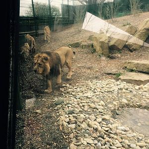 12970925_10209377286810746_7356785510265778729_o