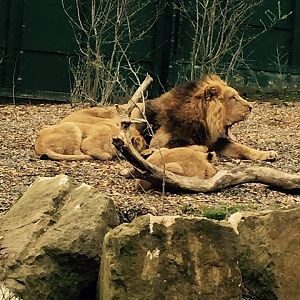 12963480_10209377286970750_3430120676524876155_n