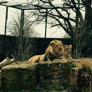 13001313_10209377288330784_8358187441525605094_n