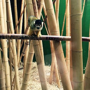 12994503_10209377291530864_5152285453976204131_n