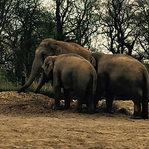 12991122_10209377291570865_8875720544932347262_n