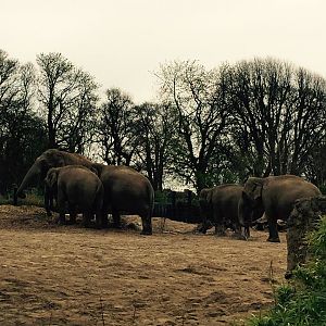 12990951_10209377291490863_5544662477371296920_n