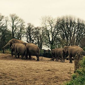 12985419_10209377291610866_706997390178377815_n