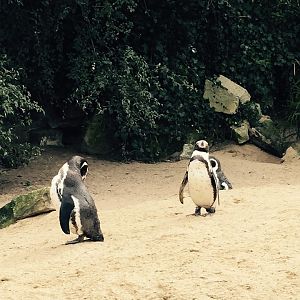 12987005_10209377308451287_3949004475925941810_n