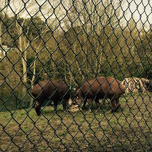 12963496_10209377291650867_7028216311738645786_n