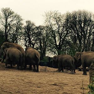 12932807_10209377292210881_1478132684985025930_n