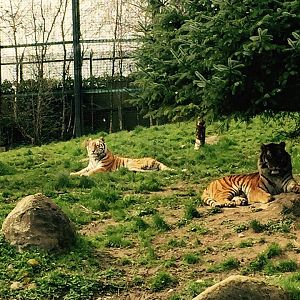 12963413_10209377309171305_8244754174123546498_n