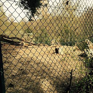 12961702_10209377308611291_5288099584576312732_n