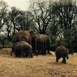 11215164_10209377311131354_4806347326059655412_n