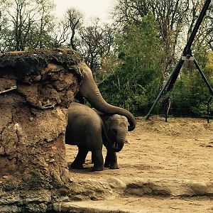 12994395_10209377312331384_4460685631427460851_n