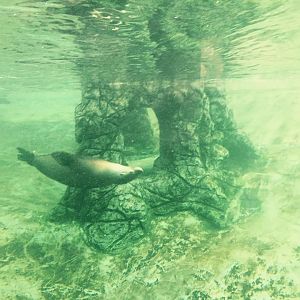 12974370_10209377312291383_4979529584279880321_n