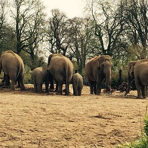 12963593_10209377311331359_7420646469744864096_n