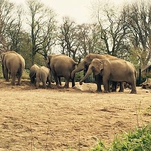 12718393_10209377311371360_6898377233521013099_n