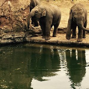 12718095_10209377312131379_2360108559672623646_n