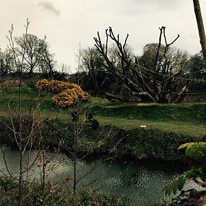 12994543_10209377314171430_3443869838198784198_n